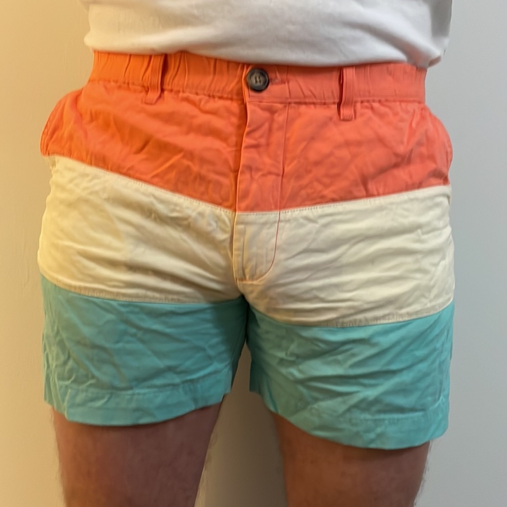 Chubbies Coral, Cream, and Aqua Men Shorts